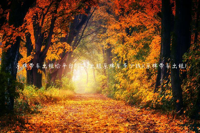 京牌带车出租给平台(个人出租京牌车多少钱)(京牌带车出租)