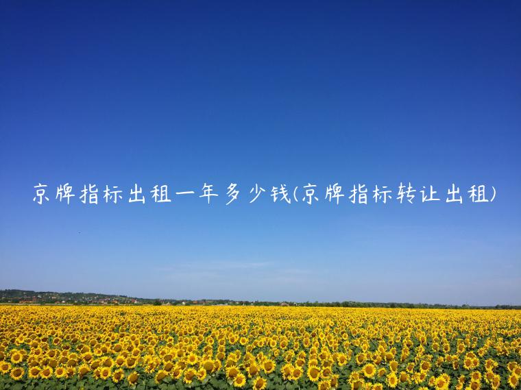 京牌指标出租一年多少钱(京牌指标转让出租)