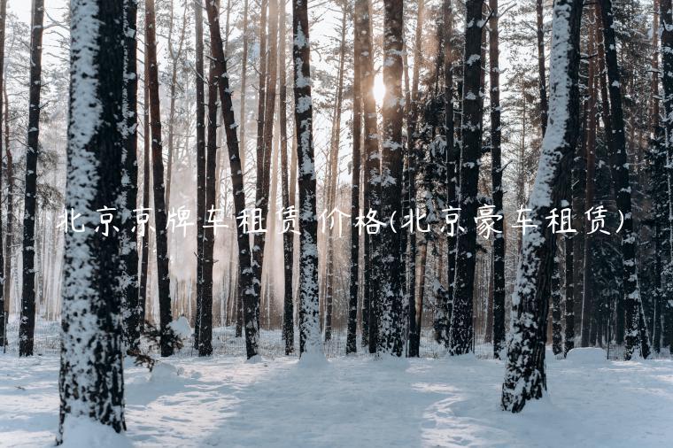 北京京牌车租赁 价格(北京豪车租赁)