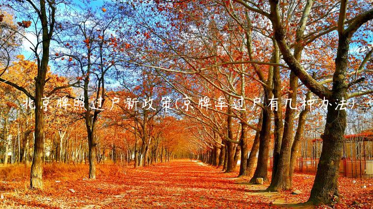 北京牌照过户新政策(京牌车过户有几种办法)