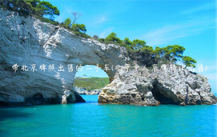 带北京牌照出售的二手车(北京个人京牌转让出售)