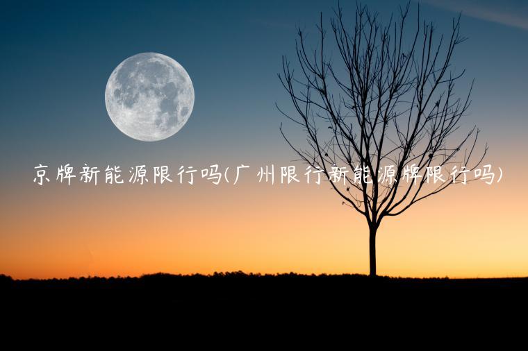 京牌新能源限行吗(广州限行新能源牌限行吗)