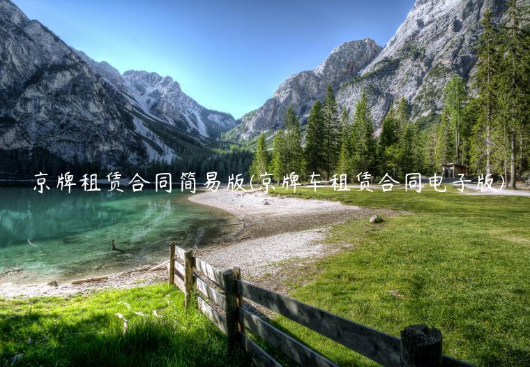 京牌租赁合同简易版(京牌车租赁合同电子版)