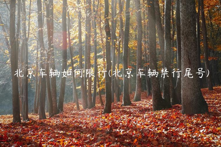 北京车辆如何限行(北京车辆禁行尾号)
