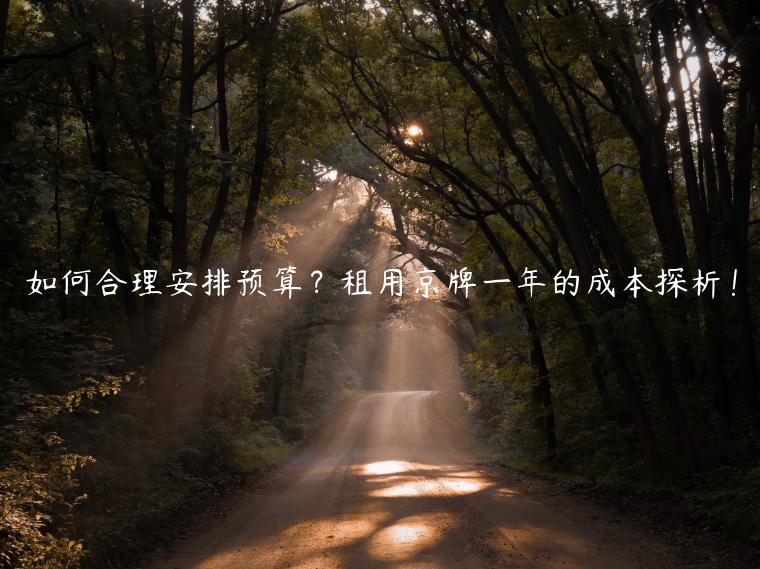 如何合理安排预算？租用京牌一年的成本探析！