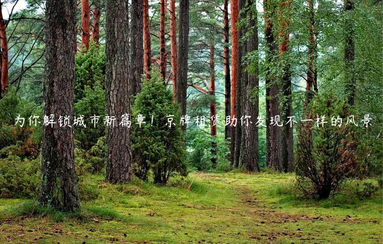 为你解锁城市新篇章！京牌租赁助你发现不一样的风景