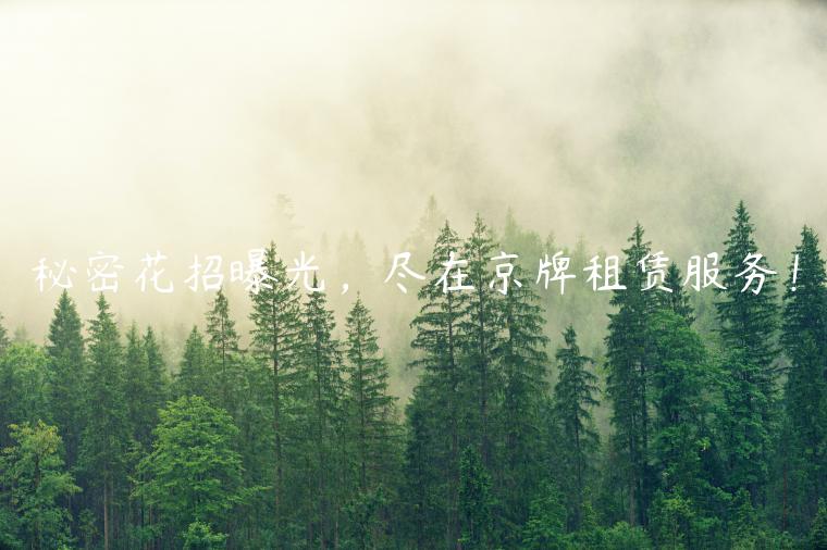 秘密花招曝光，尽在京牌租赁服务！