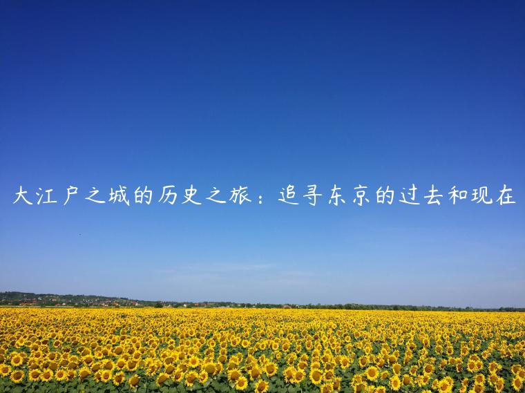 大江户之城的历史之旅：追寻东京的过去和现在