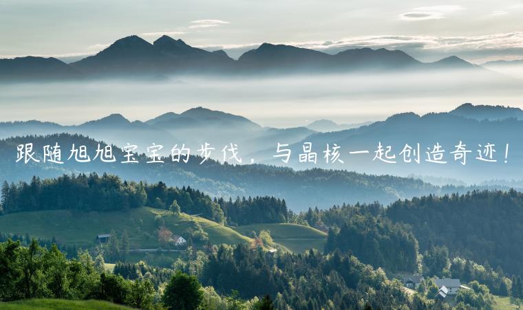 跟随旭旭宝宝的步伐，与晶核一起创造奇迹！