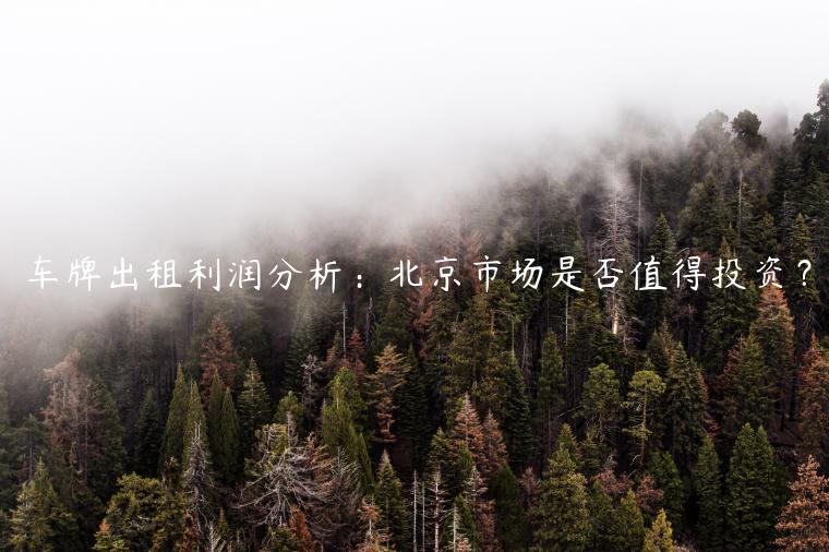 车牌出租利润分析：北京市场是否值得投资？