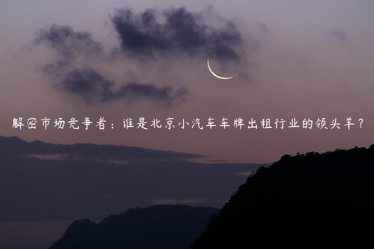 解密市场竞争者：谁是北京小汽车车牌出租行业的领头羊？