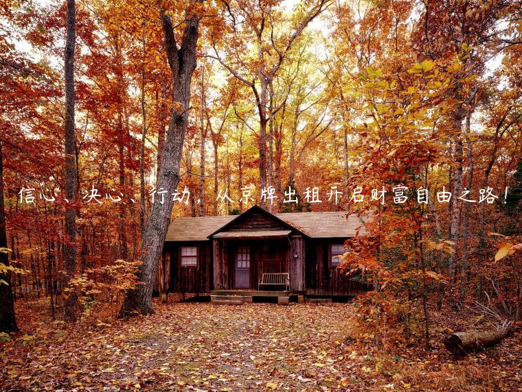 信心、决心、行动，从京牌出租开启财富自由之路！