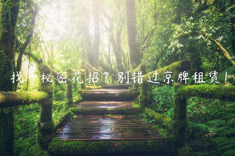 找寻秘密花招？别错过京牌租赁！