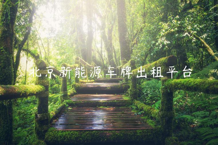 北京新能源车牌出租平台