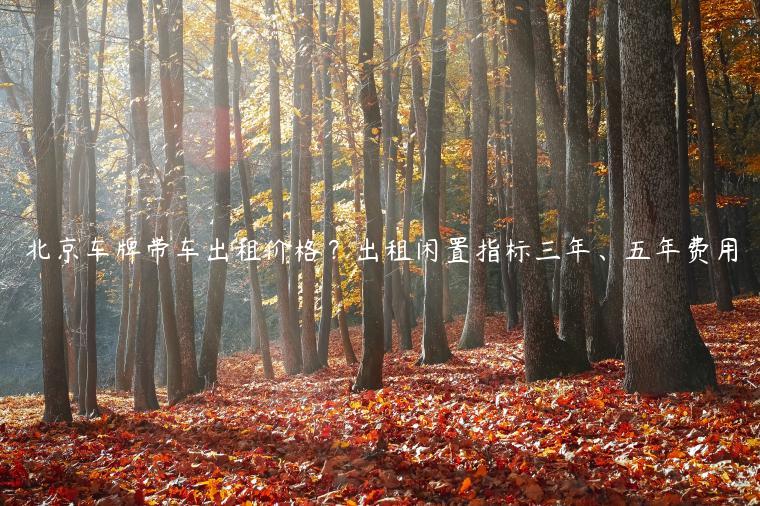 北京车牌带车出租价格？出租闲置指标三年、五年费用