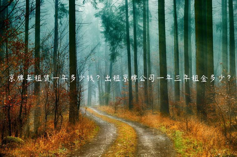 京牌车租赁一年多少钱？出租京牌公司一年三年租金多少？