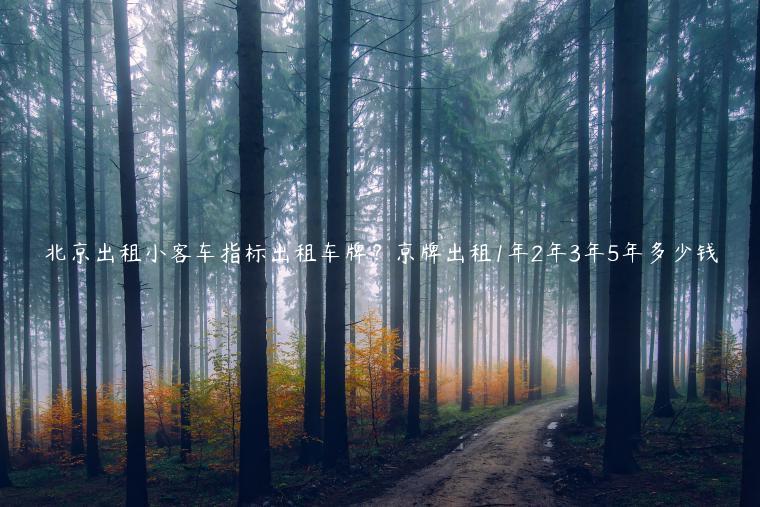 北京出租小客车指标出租车牌？京牌出租1年2年3年5年多少钱