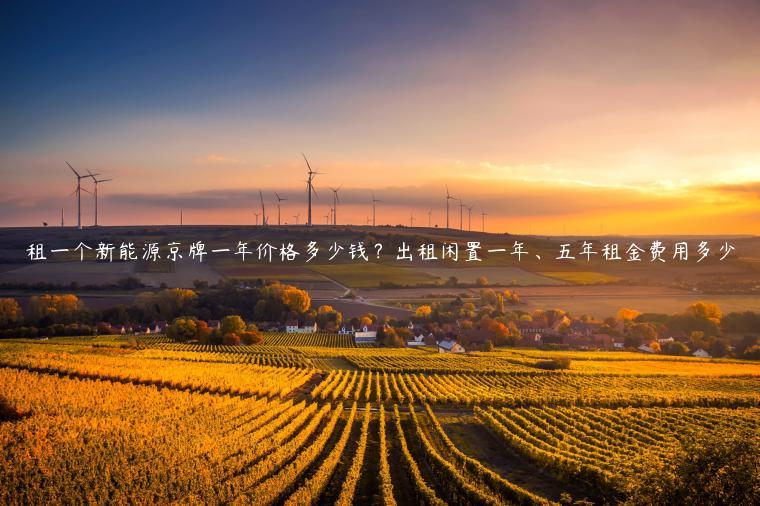 租一个新能源京牌一年价格多少钱？出租闲置一年、五年租金费用多少