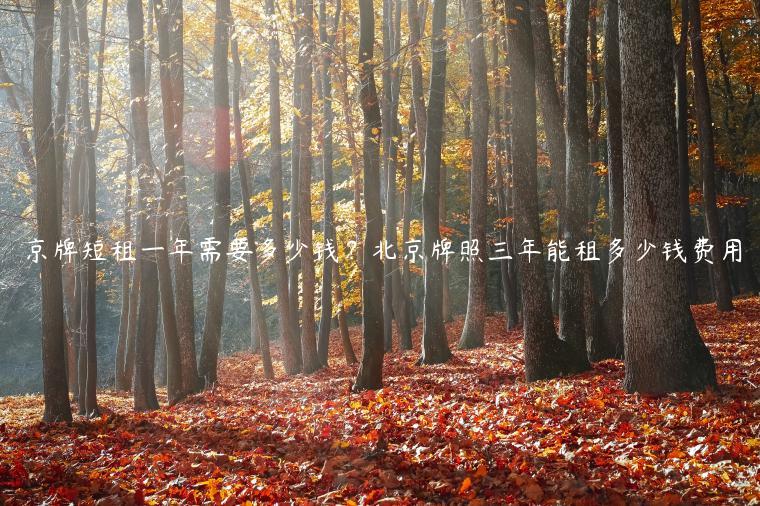 京牌短租一年需要多少钱？北京牌照三年能租多少钱费用