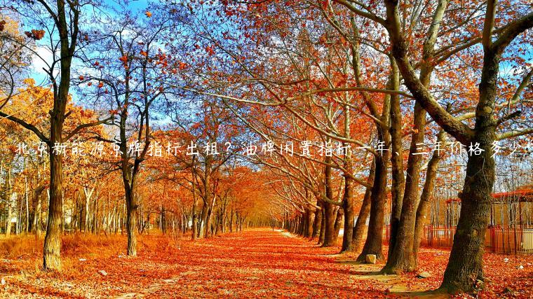北京新能源京牌指标出租？油牌闲置指标一年、三年价格多少