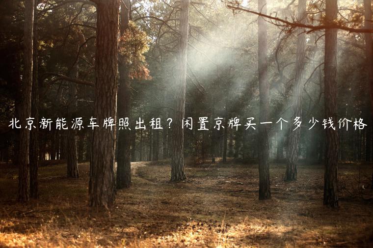 北京新能源车牌照出租？闲置京牌买一个多少钱价格