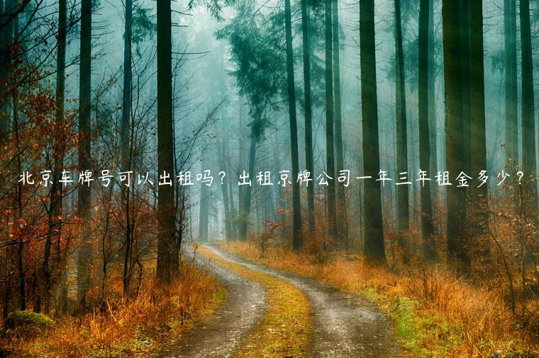 北京车牌号可以出租吗？出租京牌公司一年三年租金多少？