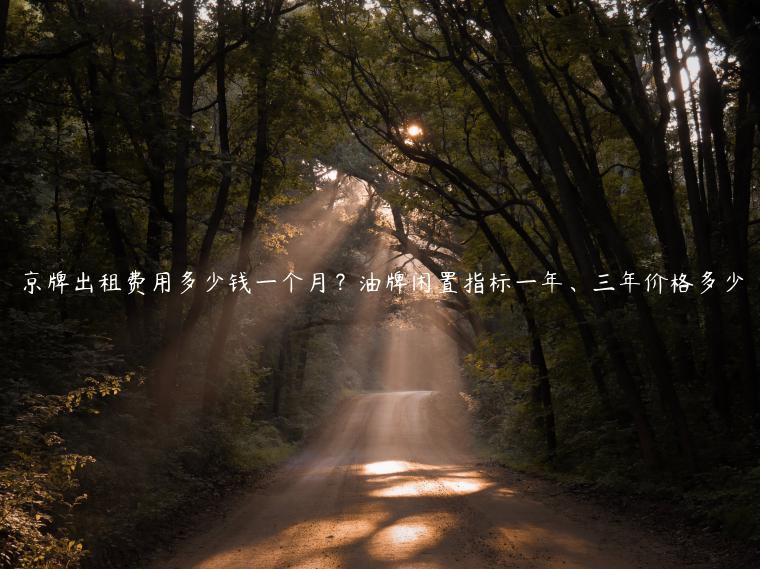 京牌出租费用多少钱一个月？油牌闲置指标一年、三年价格多少