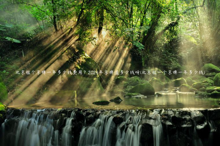 北京租个京牌一年多少钱费用？2024年京牌值多少钱呀(北京租一个京牌一年多少钱)