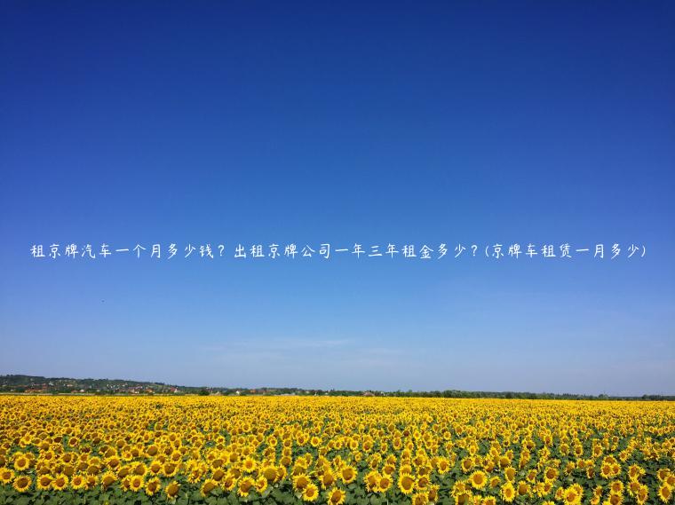 租京牌汽车一个月多少钱？出租京牌公司一年三年租金多少？(京牌车租赁一月多少)