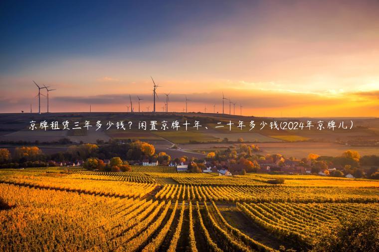 京牌租赁三年多少钱？闲置京牌十年、二十年多少钱(2024年京牌儿）