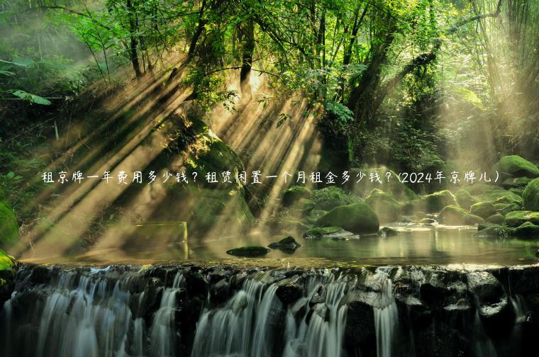 租京牌一年费用多少钱？租赁闲置一个月租金多少钱？(2024年京牌儿）