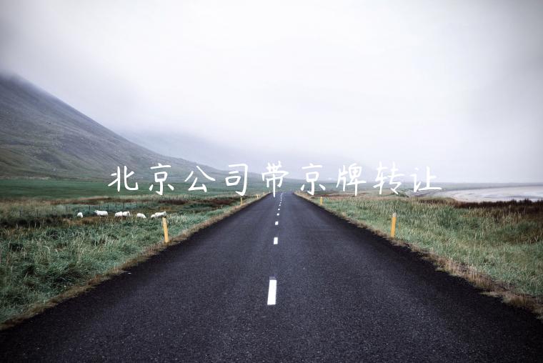 北京公司带京牌转让