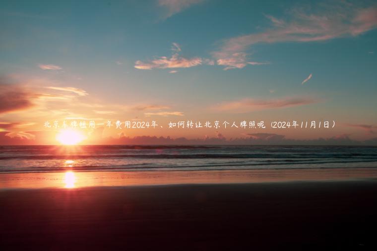 北京车牌租用一年费用2024年、如何转让北京个人牌照呢  (2024年11月1日）