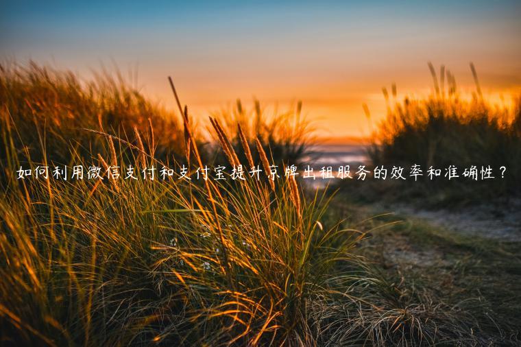 如何利用微信支付和支付宝提升京牌出租服务的效率和准确性？