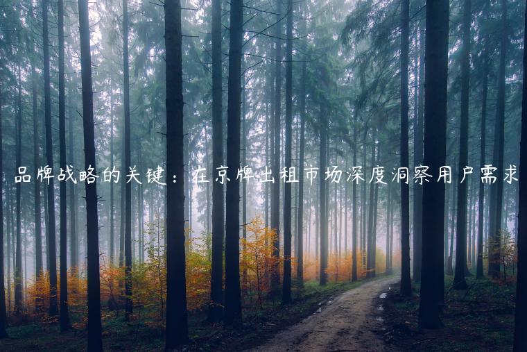 品牌战略的关键：在京牌出租市场深度洞察用户需求