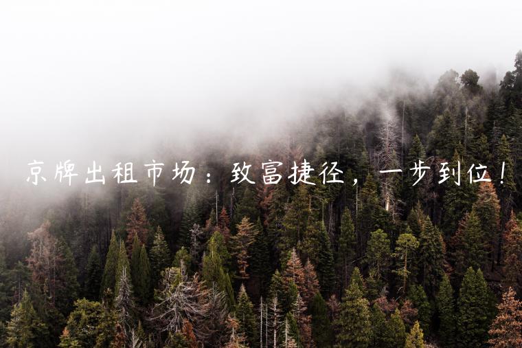京牌出租市场：致富捷径，一步到位！