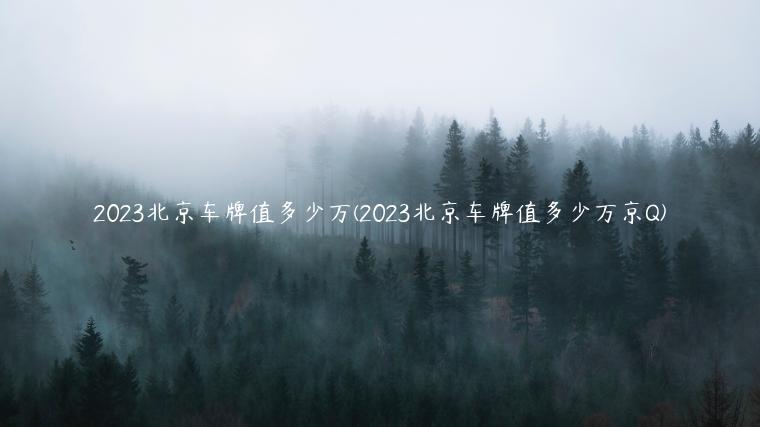 2023北京车牌值多少万(2023北京车牌值多少万京Q)