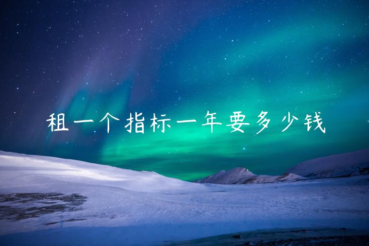租一个指标一年要多少钱