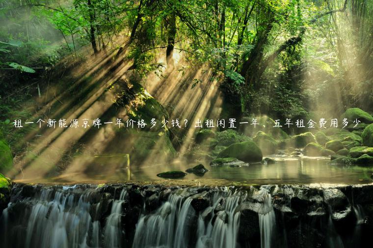 租一个新能源京牌一年价格多少钱？出租闲置一年、五年租金费用多少