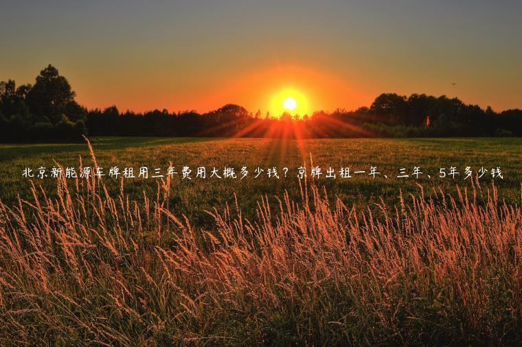 北京新能源车牌租用三年费用大概多少钱？京牌出租一年、三年、5年多少钱