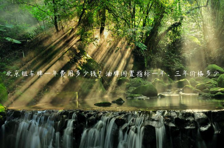 北京租车牌一年费用多少钱？油牌闲置指标一年、三年价格多少