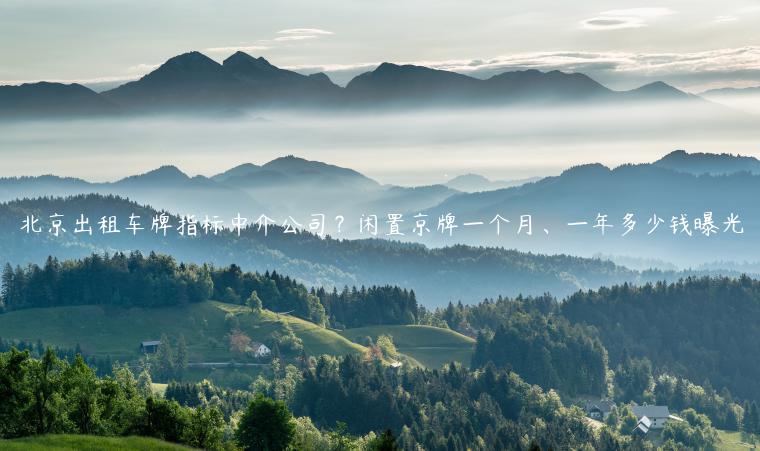 北京出租车牌指标中介公司？闲置京牌一个月、一年多少钱曝光