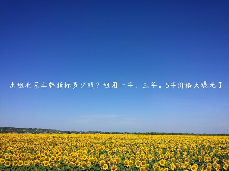 出租北京车牌指标多少钱？租用一年、三年。5年价格大曝光了