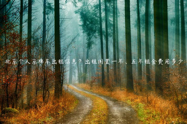 北京个人京牌车出租信息？出租闲置一年、五年租金费用多少