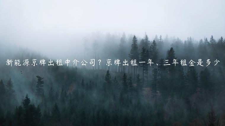 新能源京牌出租中介公司？京牌出租一年、三年租金是多少