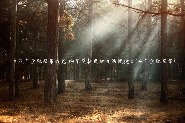 《汽车金融政策放宽 购车贷款更加灵活便捷》(买车金融政策)