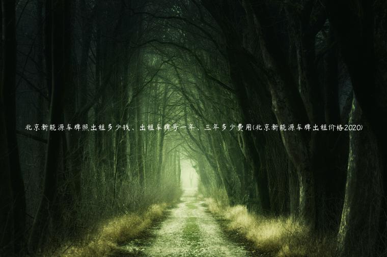 北京新能源车牌照出租多少钱、出租车牌号一年、三年多少费用(北京新能源车牌出租价格2020)