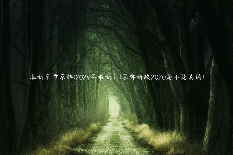 准新车带京牌(2024年最新）(京牌新政2020是不是真的)