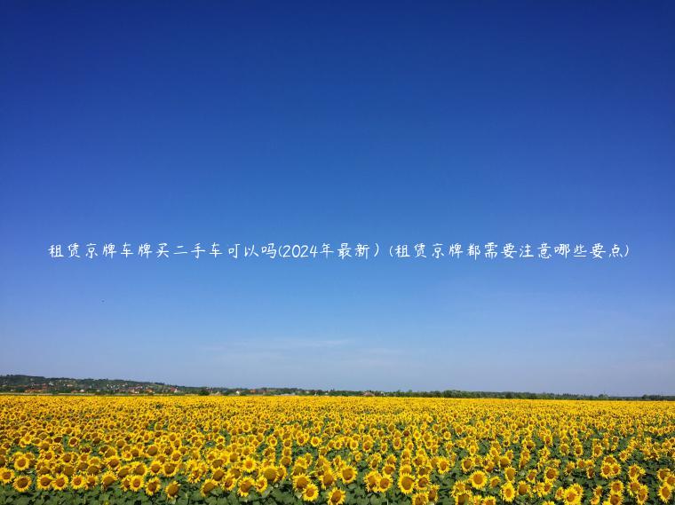 租赁京牌车牌买二手车可以吗(2024年最新）(租赁京牌都需要注意哪些要点)