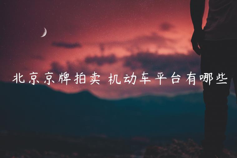 北京京牌拍卖 机动车平台有哪些